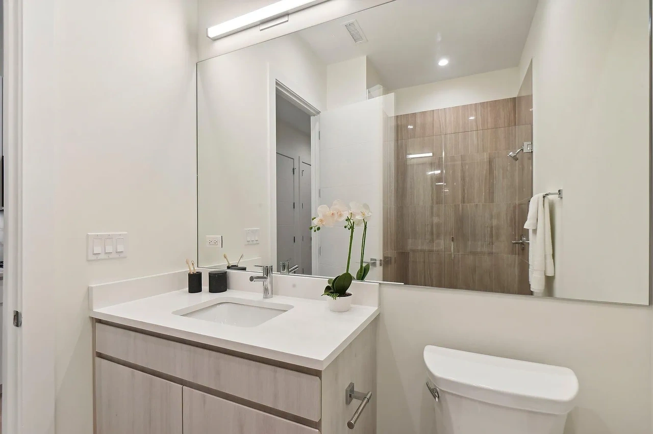 Premium Walk-In Bathroom and Tub Layout
